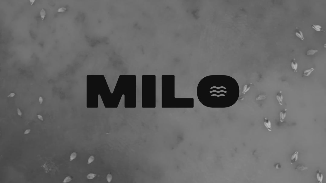 Milo™ - Motion Frame™