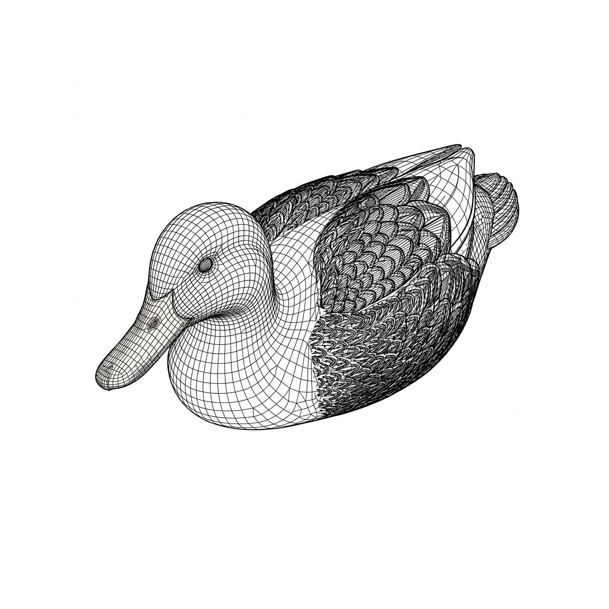 Center Duck