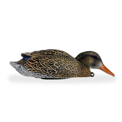 Center Duck