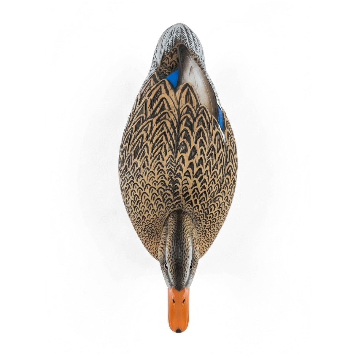 Center Duck